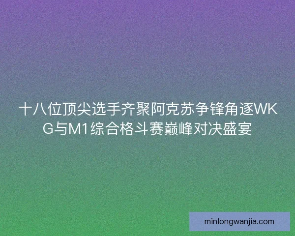 十八位顶尖选手齐聚阿克苏争锋角逐WKG与M1综合格斗赛巅峰对决盛宴